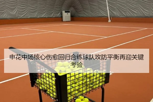 申花中场核心伤愈回归合练球队攻防平衡再迎关键考验